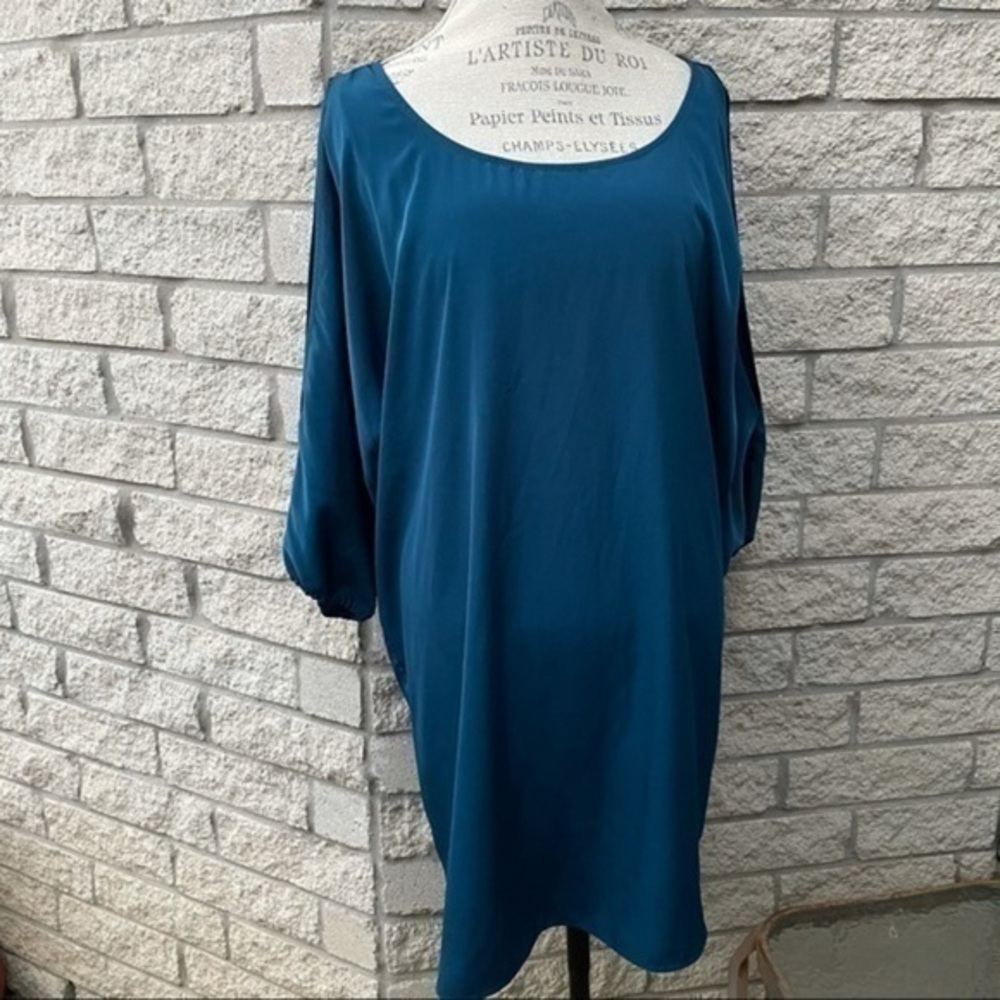 Express Slip on Dress  Large   BBB1